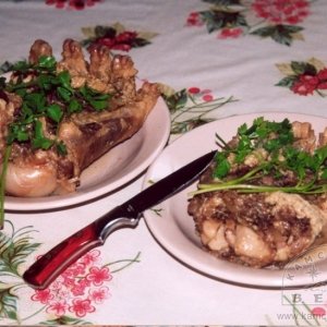 Отдых на Камчатке